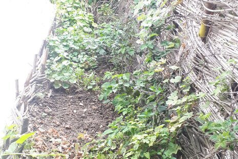 ویلا تکخواب شماره 2 در گرگان