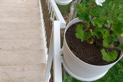 ویلا دو خواب آیلی در ماسال