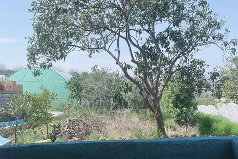 سوئیت ویلا 36 متری مبله در قائم شهر