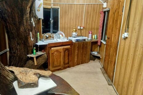 کلبه درختی 20 متری در نور