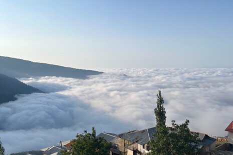 اپارتمان  تکخواب شکوه در بابل