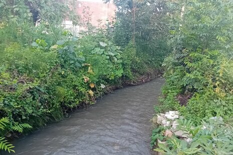 ویلا مبله تکخواب امیرنیا در اسالم