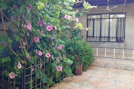 ویلا مبله تکخواب دیدار در جوانرود