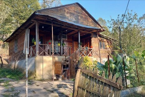 کلبه جنگلی تکخواب افرا در سوادکوه