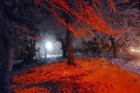 کلبه سوئیسی مبله دوخواب نارنجی در پل سفید