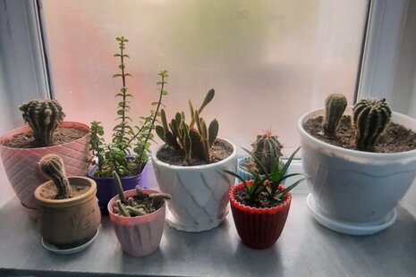 آپارتمان تکخواب مبله در دیزین