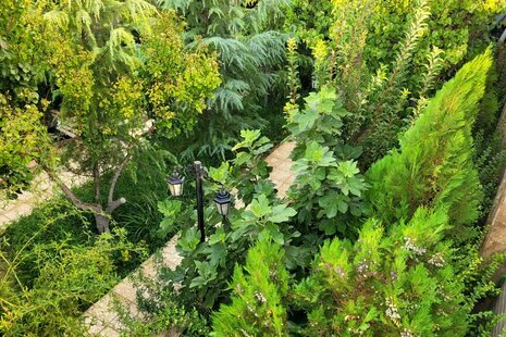 ویلا استخردار تکخواب مبله در فردوسیه