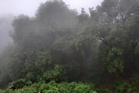 واحد تکخواب تراس دار در طبقه اول ویلای آمل