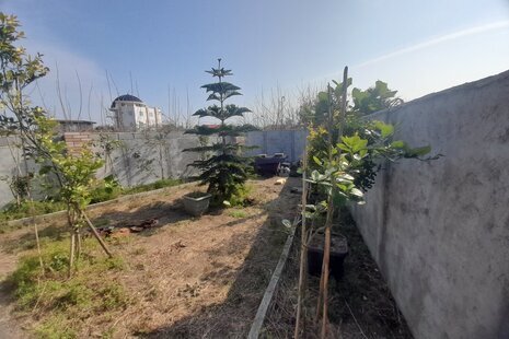 ویلا تکخواب سوتراش در عباس آباد