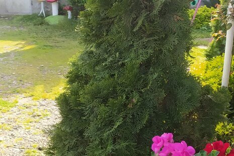 ویلا دوخواب ماسو  در فومن