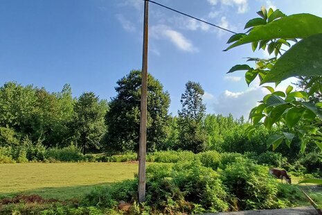 سوئیت ویلا مبله در رشت