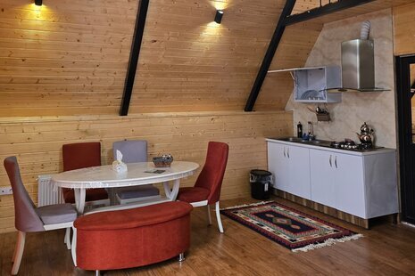 کلبه سوئیسی جکوزی دار دوخواب آراد در چالوس