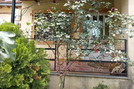 ویلا ساحلی تکخواب در رامسر