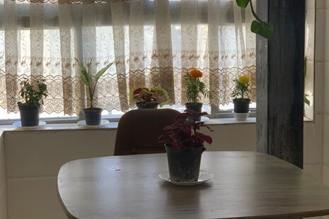 آپارتمان مبله تکخواب خانه عشق در بندرعباس