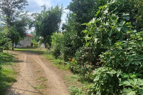 ویلا مبله تکخواب در ماسال