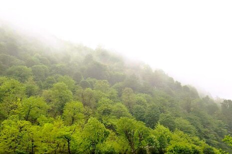کلبه مبله تکخواب در ماسال