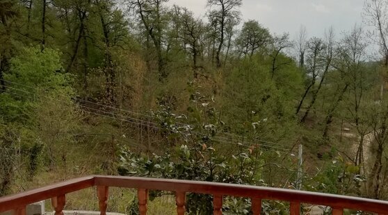 واحد تیرنگ در اقامتگاه بوم گردی شیرگاه