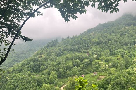 واحد مبله تکخواب طبقه همکف جنگلی سیاه مزگی در شفت
