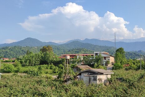 واحد تکخواب مبله در طبقه همکف ویلا جنگلی رحیم آباد