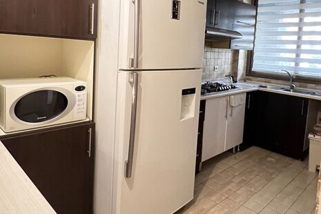 آپارتمان مبله تک خواب صرافهای شمالی  در سعادت آباد