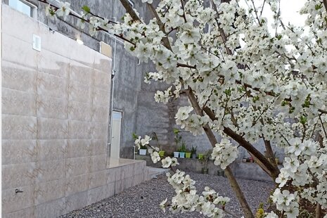 ویلا تکخواب آراد در کوچصفهان