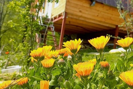 کلبه سوئیسی دوبلکس تکخواب آیهان در ماسال