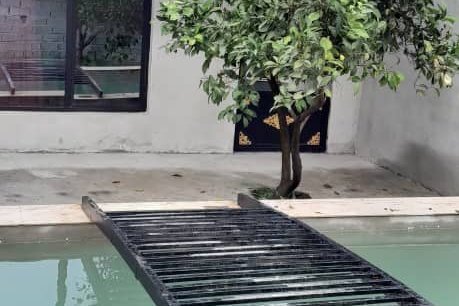 سوئیت 30 متری یک در قائمشهر