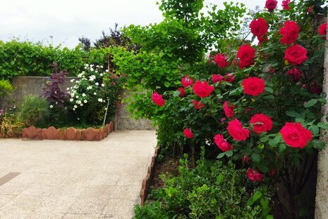 واحد در طبقه اول ویلا ساری