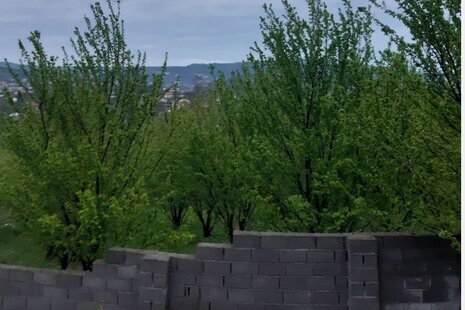 ویلای وارش در بابل