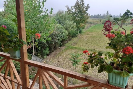 کلبه چوبی سبز صادق در ماسال