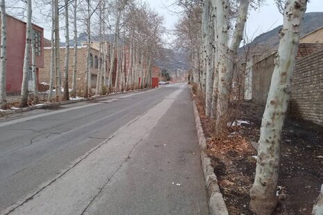 آپارتمان تکخواب مبله ویونا 4 در نطنز