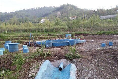 سوئیت جنگلی همکف 2 در لیسار