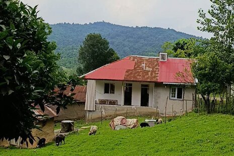 ویلا مبله دوخواب جنگلی در فومن