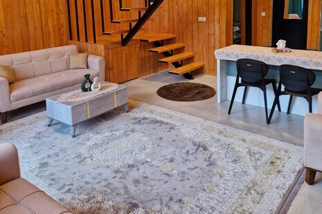 کلبه سوئیسی دوبلکس دوخواب چشمک در رامسر