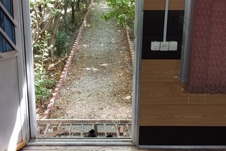 ویلا باغ سنتی تک خواب  تفریحی در چادگان