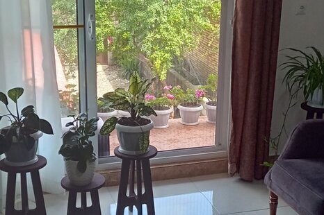 ویلا مبله دوخواب بهداد در تالش