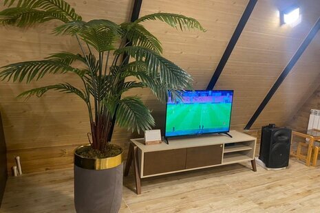 کلبه سوئیسی دوبلکس تکخواب سنجاقک در شهر بندر انزلی