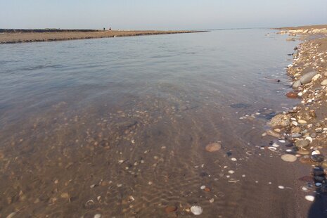 آپارتمان مبله تکخواب  باران در محمودآباد