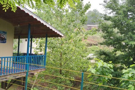 کلبه جنگلی تکخواب ماهان در ماسال