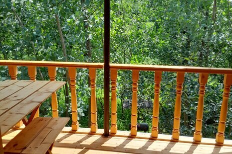 کلبه جنگلی تک خواب در تنکابن