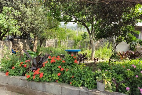 سوئیت مبله عمو ایرج در رودبار