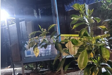 کلبه سوئیسی دوبلکس تکخواب در خمام