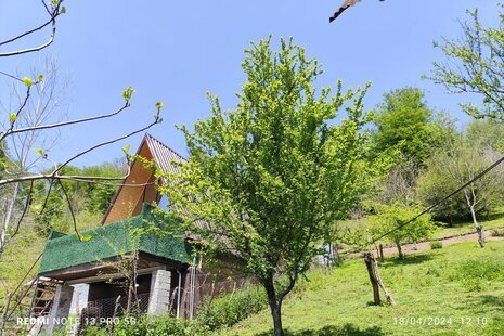 کلبه سوئیسی دوبلکس تکخواب جکوزی دار در شیرگاه