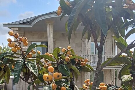 ویلا دوبلکس دوخواب نرگس در ماسال