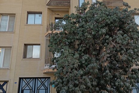 آپارتمان مبله دوخواب فروتن 2 در قشم