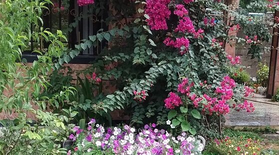 واحد در طبقه همکف ویلا پره سر