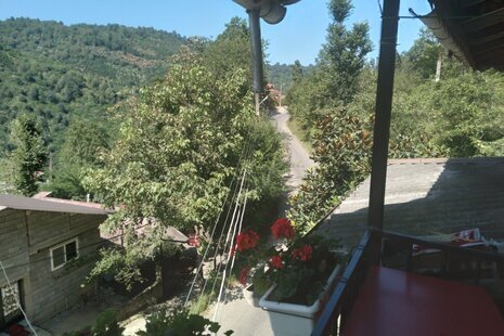 واحد تکخواب جنگلی در طبقه دوم ویلای چابکسر