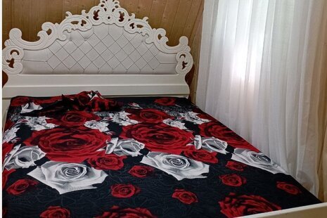 کلبه سوئیسی دوبلکس دوخواب کوچولو در بندرانزلی