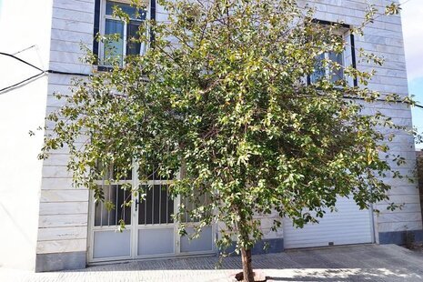 سوئیت مبله یاسین در کوثر