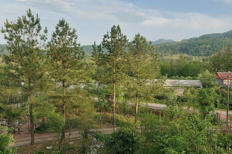 واحد مبله تک خواب برادران در طبقه اول ویلا فومن